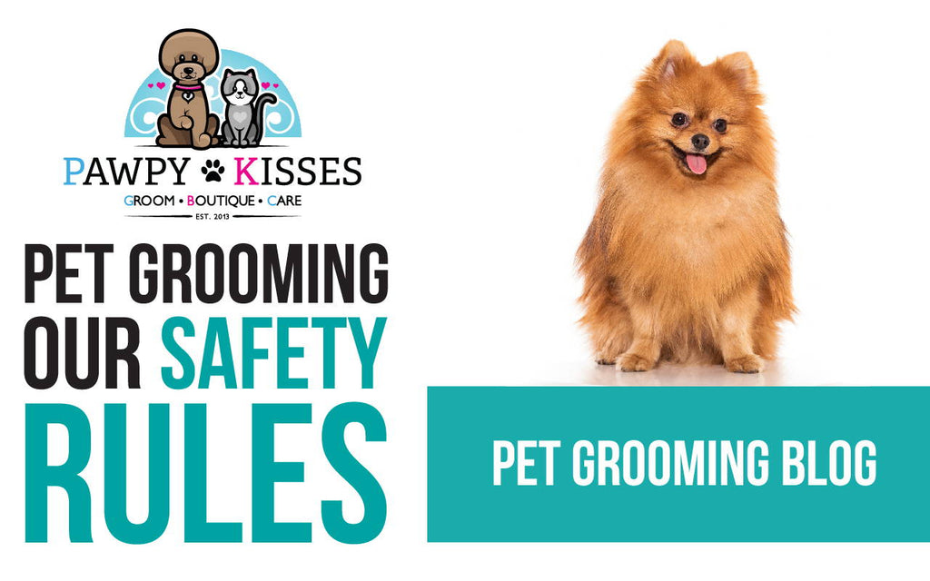 animal grooming services