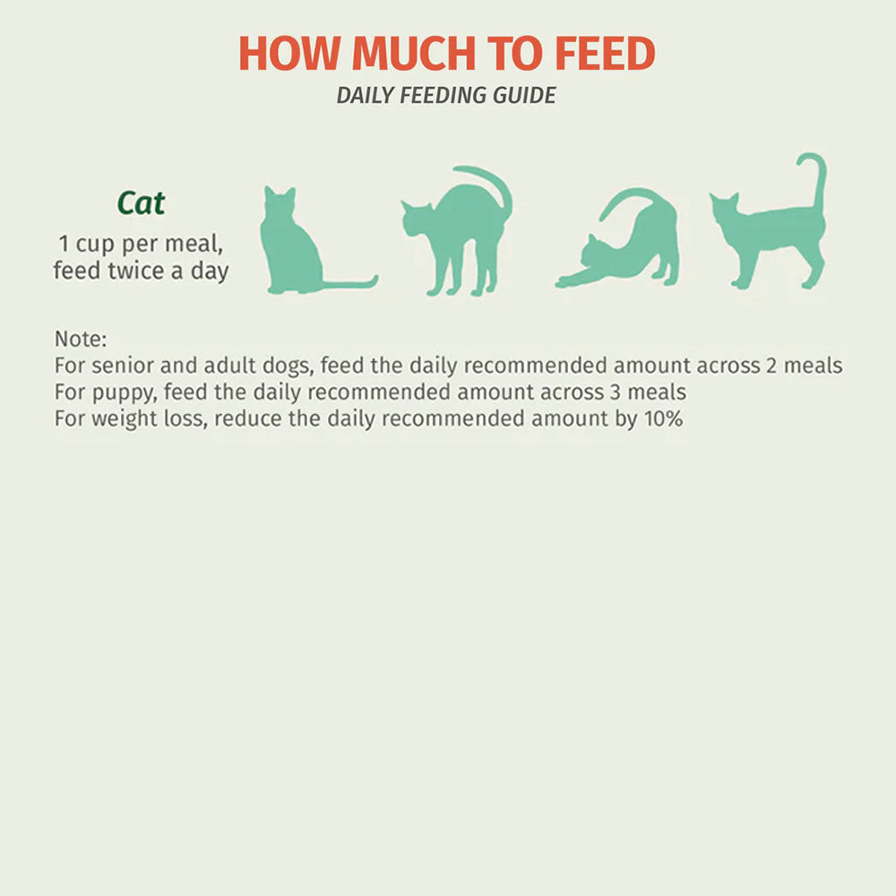 PetCubes Beef Gently Cooked Frozen Cat Food Feeding Guide