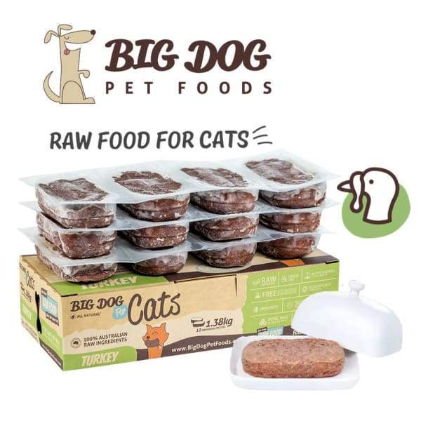 Cat frozen shop raw food