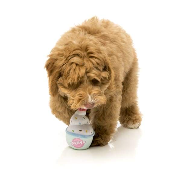 https://cdn.shopify.com/s/files/1/0719/7239/products/fuzzyard-frozen-yoghurt-plush-dog-toy-online-pet-shop-pawpy-kisses-singapore-771.jpg