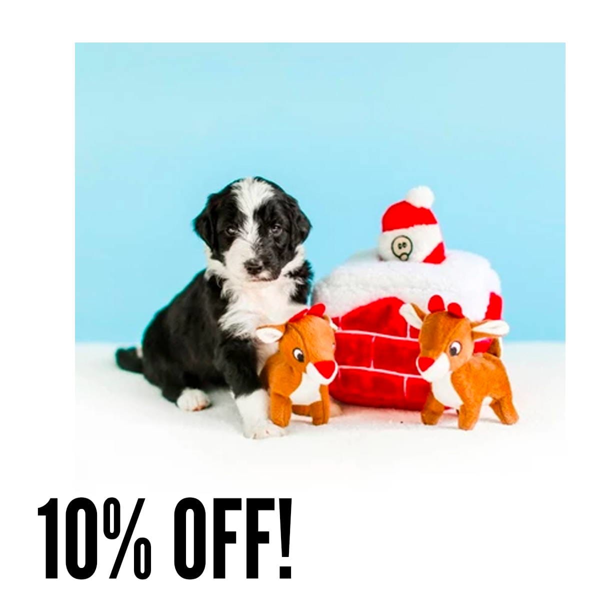 black friday dog toys