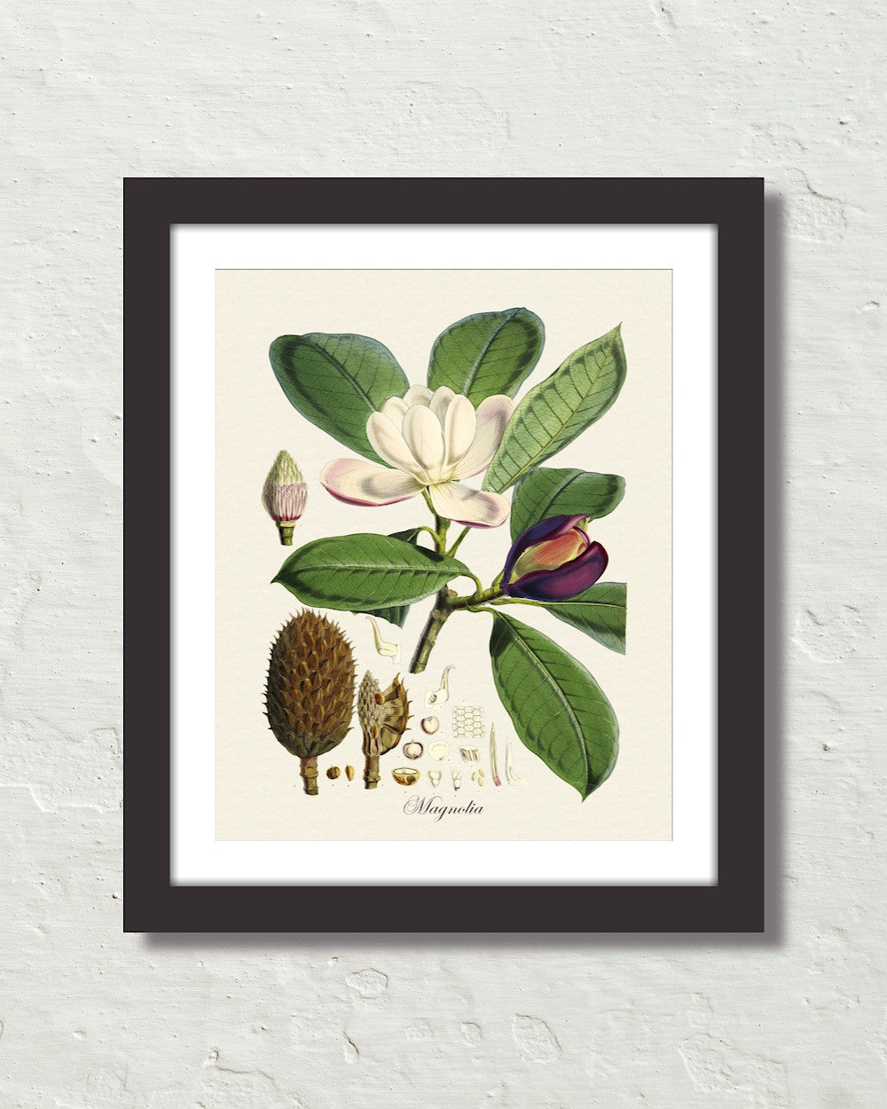 Botanicals – Page 2 – Belle Maison Art