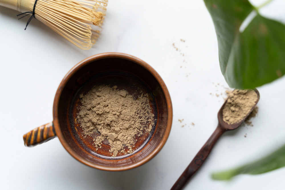 Hojicha powder in a mug ready to mix