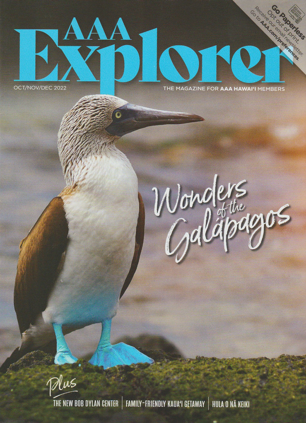 AAA Explorer - Cover