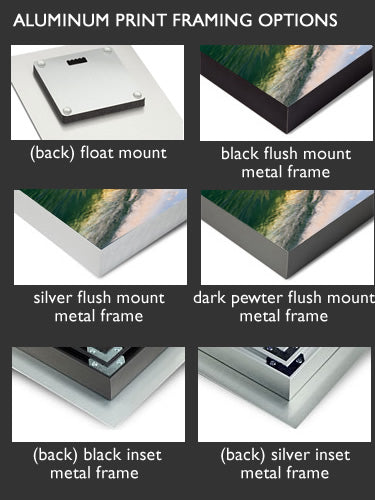 aluminum print framing options