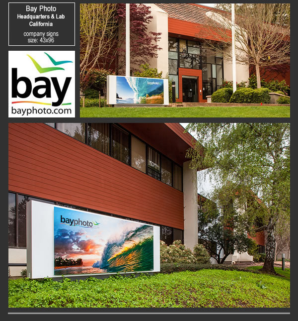 Bay Photo headquarters installation