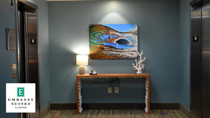 Embassy Suites by Hilton artwork installation