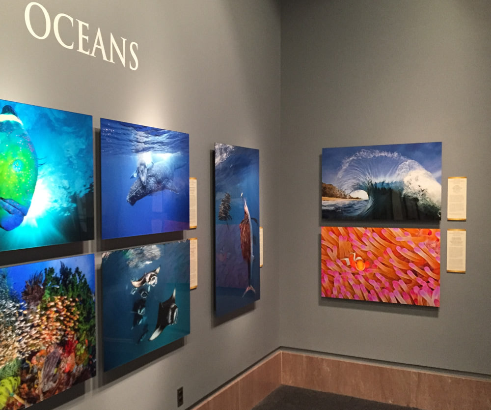 Smithsonian Museum Exhibit - Oceans
