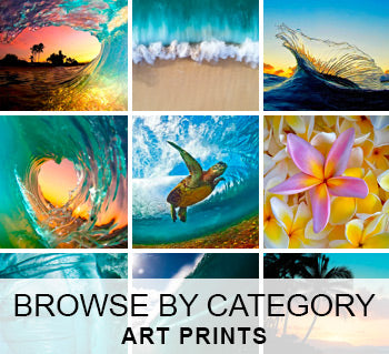 Browse Prints by Category