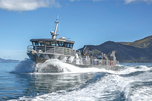 Green Lipped Mussel experts Aroma NZ