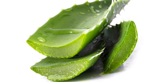 Sliced aloe vera leaves with fresh drops of water on them, symbolizing natural skin care ingredients for hydrating and soothing treatments.