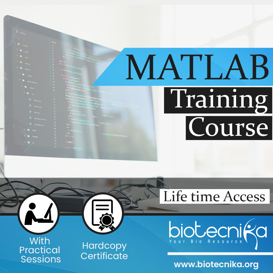 online matlab course