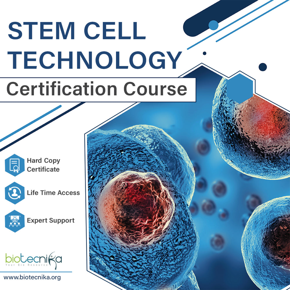 stem cell technologies