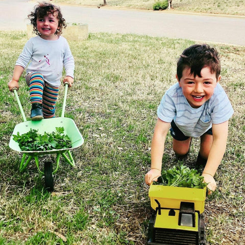 Herbs Grown With Heart