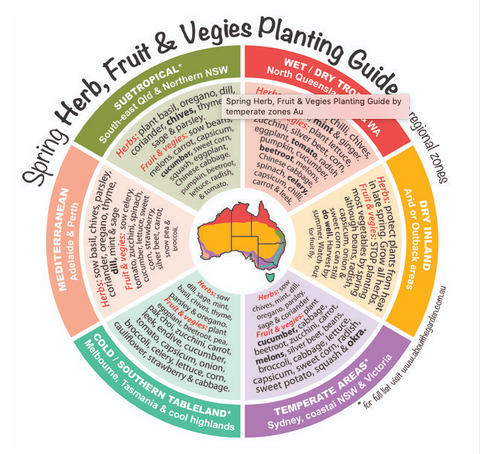 spring herb, fruit and vegies planting guide