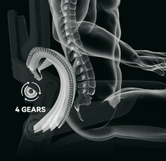 3D FlexiLumbar 4-Level Forward Support