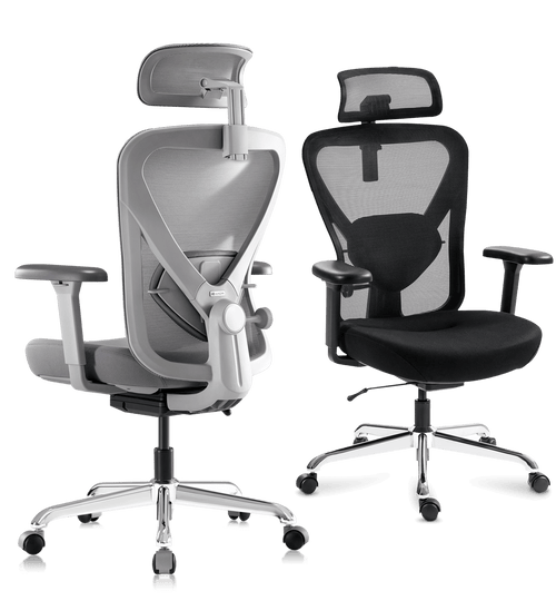 Hinomi Q1 Begin Your Ergonomic Seating Journey