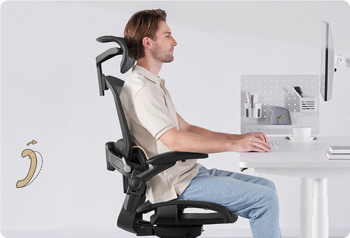 3D Adjustable Lumbar Support - Working