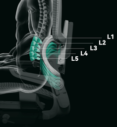 FlexiLumbar 5-Level Adjustable Heights