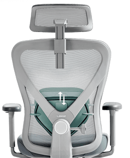 Hinomi Q1 Adjustable Lumbar Support