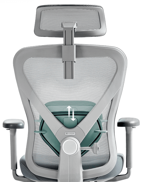 Hinomi Q1 Adjustable Lumbar Support