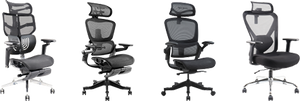 Hinomi chair comparison