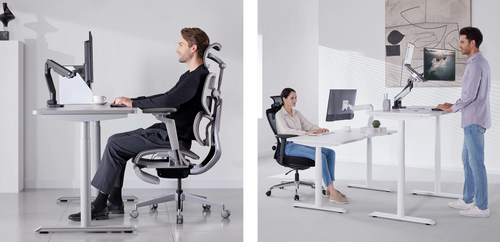 HINOMI X1 High Back Ergonomic Office Chair with Built-in Leg Rest, 6D  armrest, 4 Panel Backrest Suitable as Home Office Chair and Computer Chair