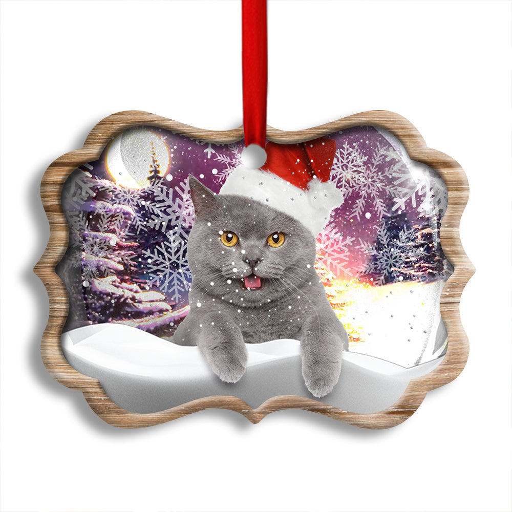 Christmas Cat Snowy Day - Cat Ornament (Printed On Both Sides) 1022