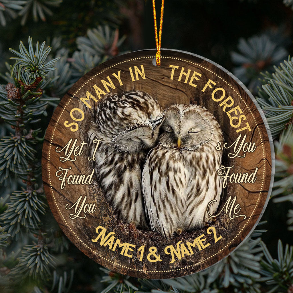 I Found You And You Found Me - Personalized Owl Ornament