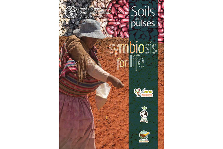 Soils and Pulses, a Symbiosis for Life