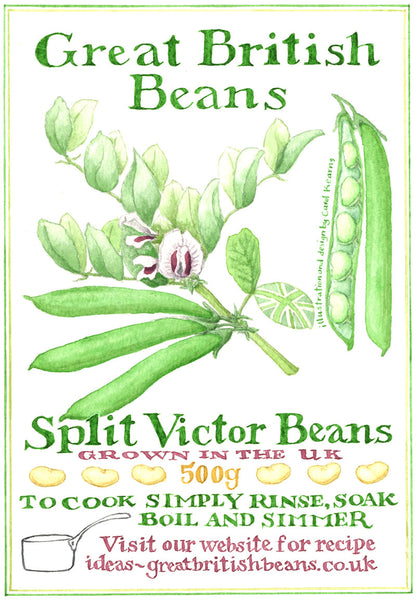 Great British Bean Project postcard