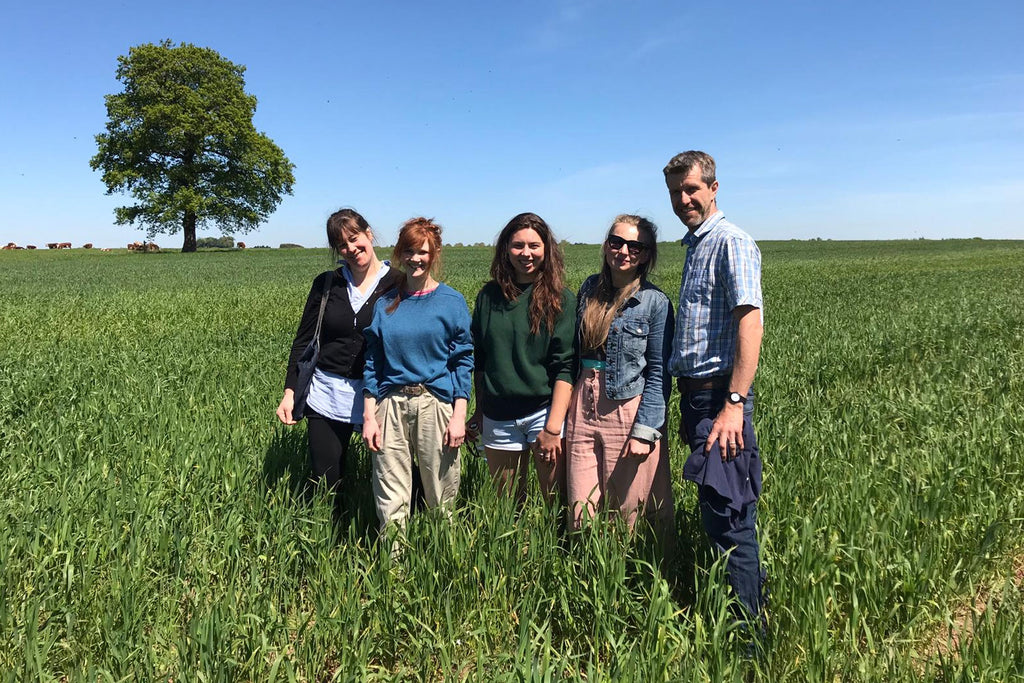 Greenacres Farm first field-scale YQ Wheat away from Wakelyns