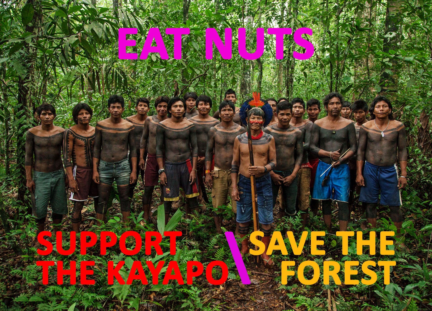 Eat Nuts / Support the Kayapo / Save the Forest