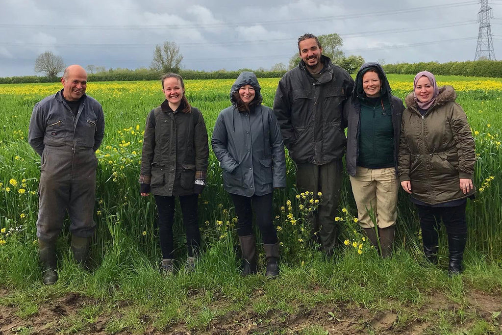 A walk in the Wheat at Little Bytham