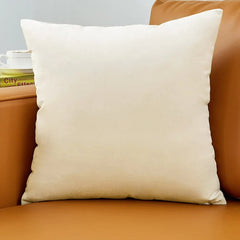 Modern Velvet Square Throw Pillows