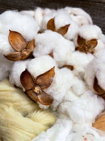 cotton bolls