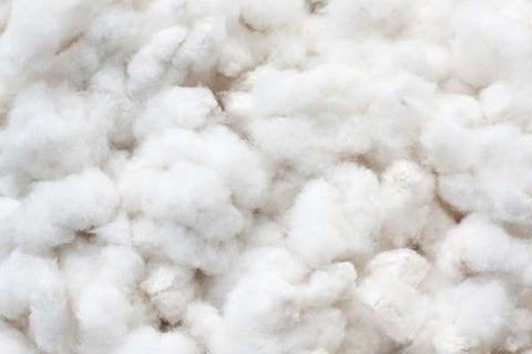 ginned cotton