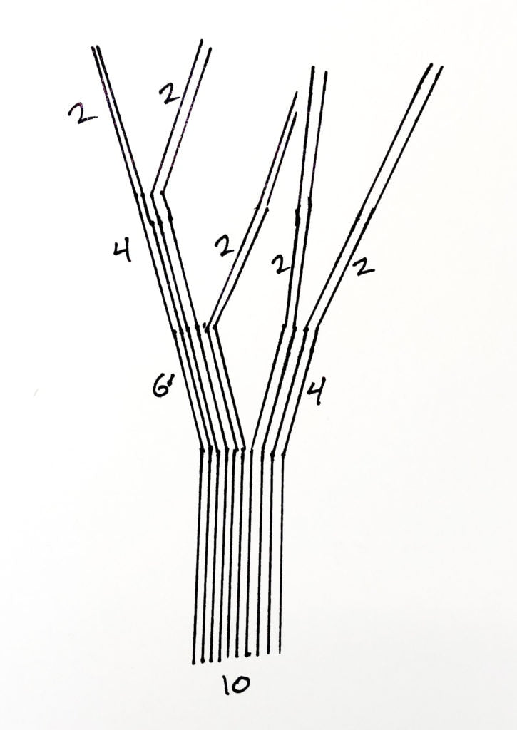 diagram for Warp Wrapped Tree