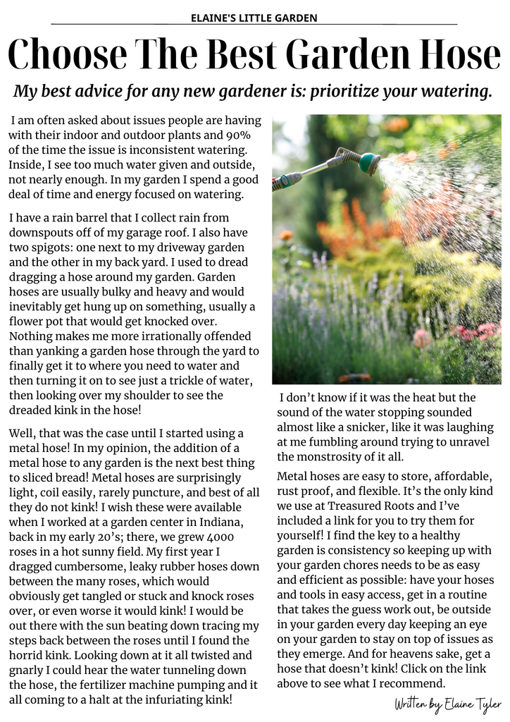 Choose the Best Garden Hose - Elaine's Little Garden Blog - Treasured Roots