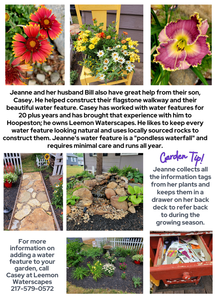 Local Gardener Spotlight - Meet Jeanne (2)