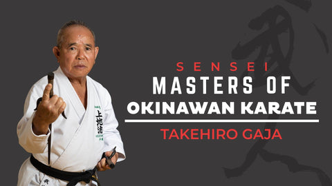 masters of okinawan karate documentary