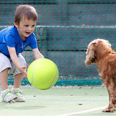 BALLE-GÉANTE-chien