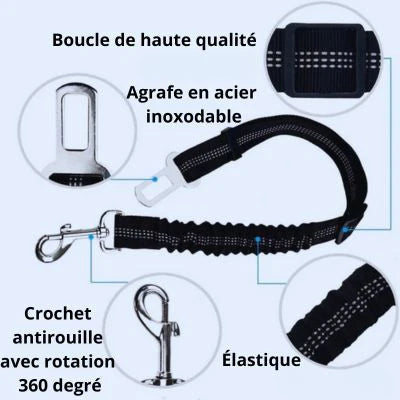 CEINTURE-DE-SÉCURITÉ-POUR-CHIEN-détail