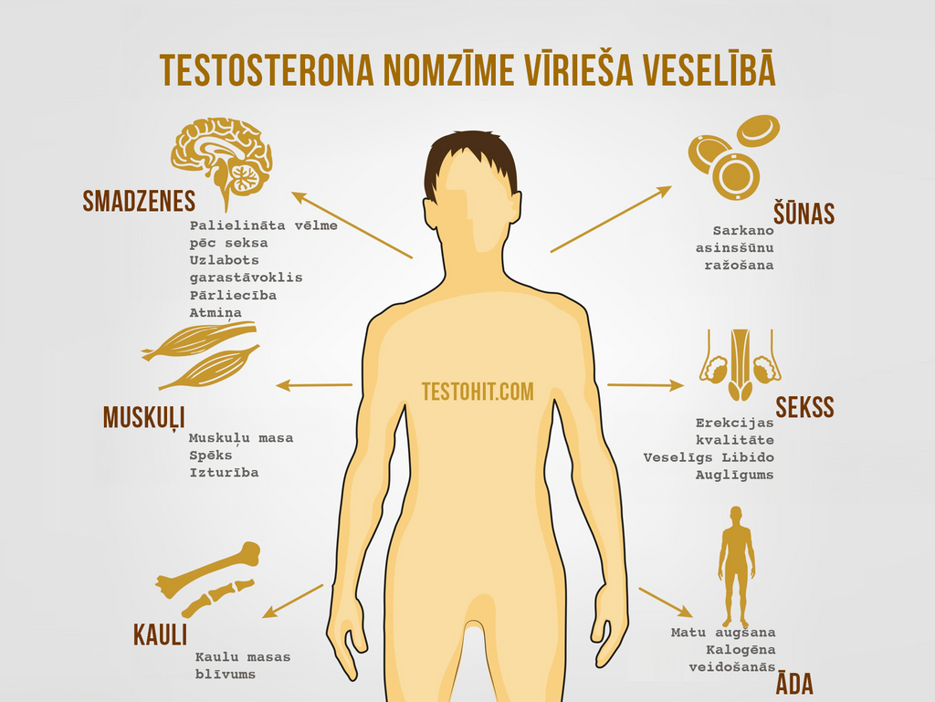 testosterona nozīme vīrieša veselībā