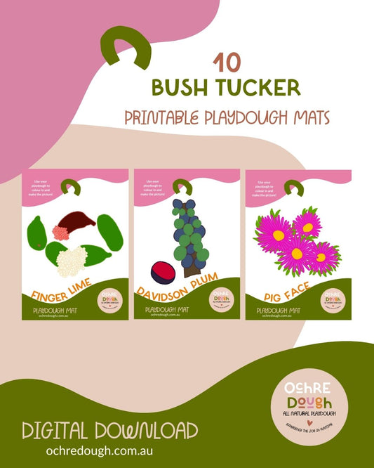 Bush Tucker Playdough Pack (5-pack) – Ochre Dough