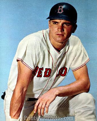 Boston Red Sox outfielder Tony Conigliaro in a Vintage Portrait