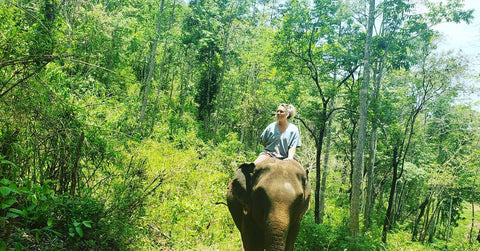 Elephant Ride