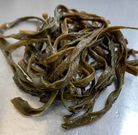 Sea Spaghetti wet