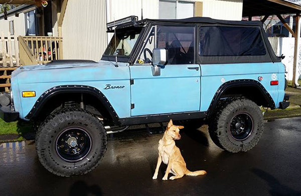 A light blue off-road vehicle. A dog sits next to the car.