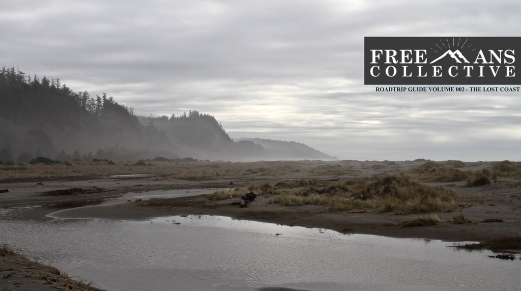 The Lost Coast Shoreline